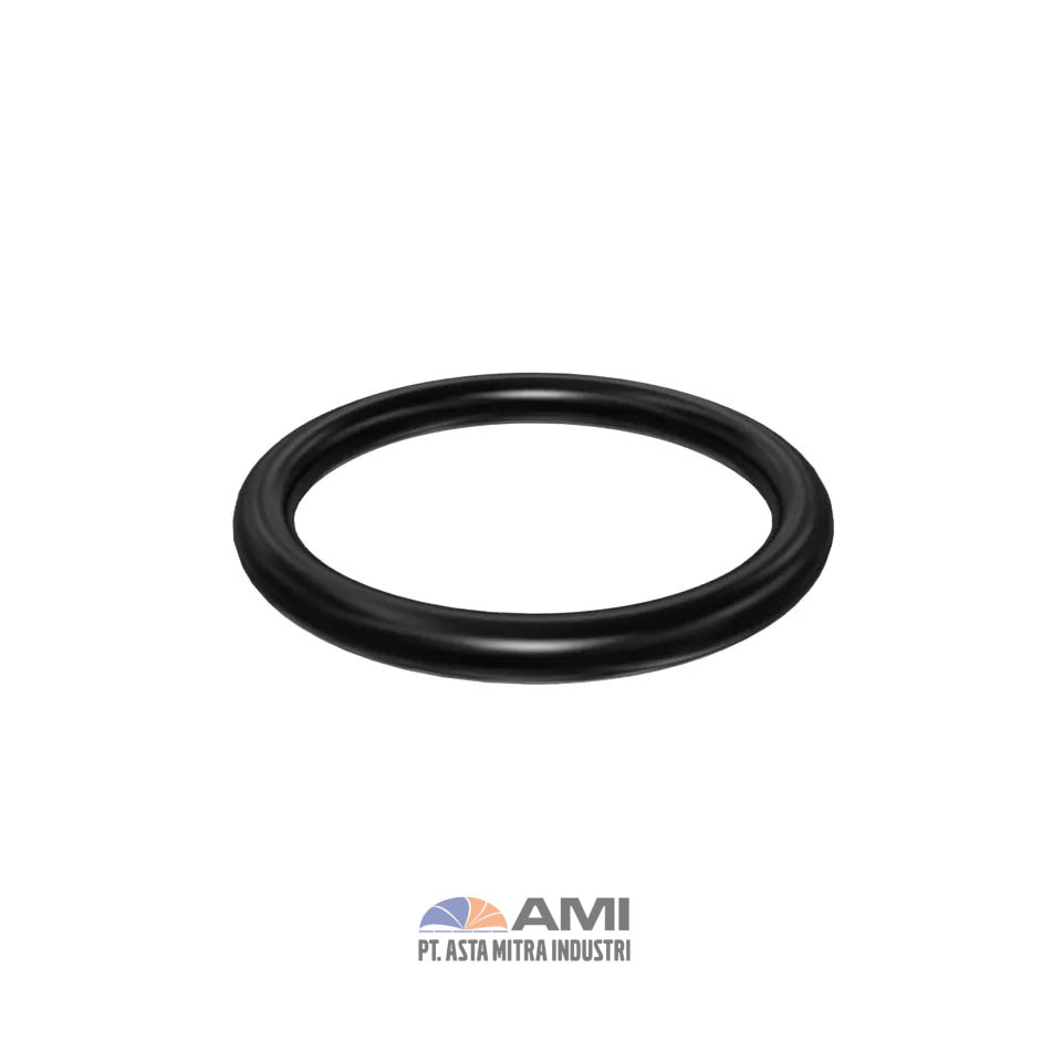 Seal Ring Toric