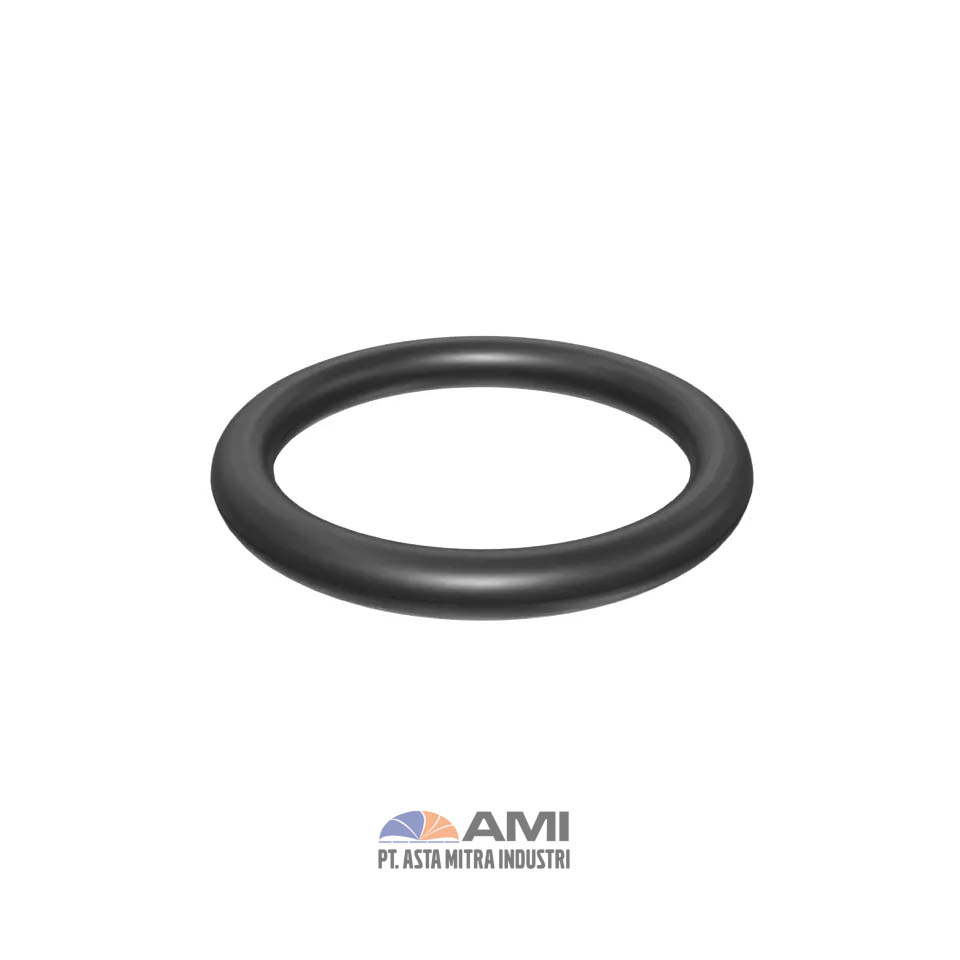 Seal Ring Toric
