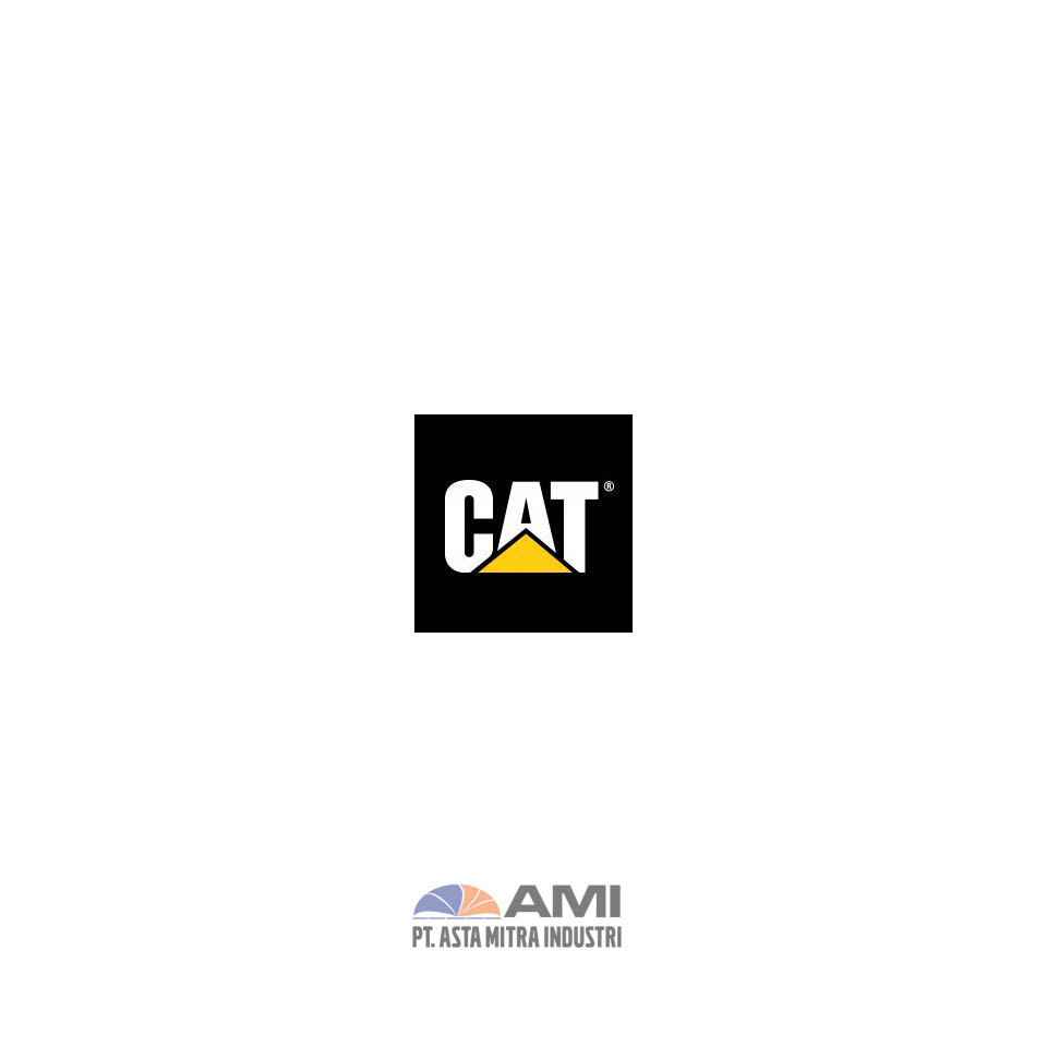 Cat-Hitam